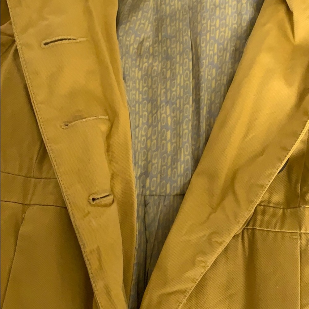 Yellow jacket - Picture 4 of 4